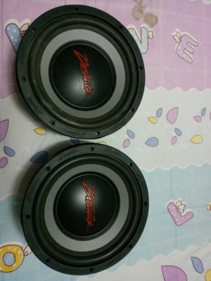 ดอกลำโพง 10 นิ้ว 2 ดอก