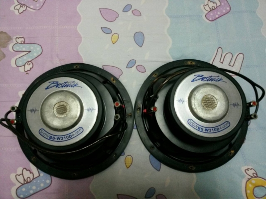 ดอกลำโพง 10 นิ้ว 2 ดอก