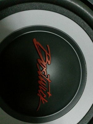 ดอกลำโพง 10 นิ้ว 2 ดอก