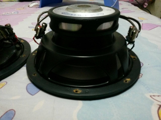 ดอกลำโพง 10 นิ้ว 2 ดอก