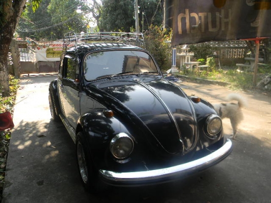 ขาย เต่าปี1969