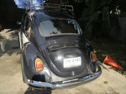 ขาย เต่าปี1969