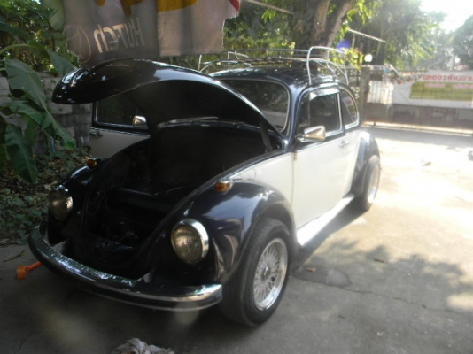 ขาย เต่าปี1969