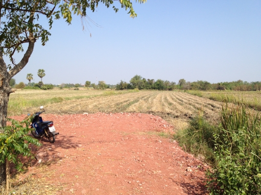 ขายทิ่ดินใกล้เมืองโคราช 3-3-58 ไร่ ที่นา ห่างเมือง 8 ก.ม เข้าเมืองสะดวก