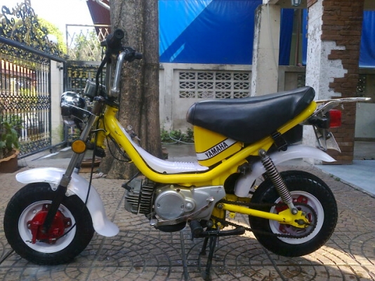 ขายแชปปี้ 8500