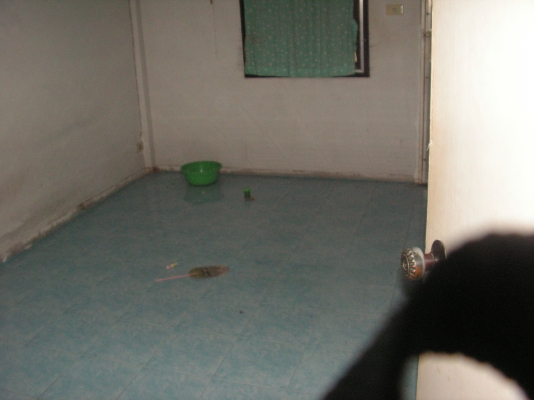 ขายทาวเฮ้าส์18ตารางวา2นอน2น้ำ(คุณเต้ยได้มาเป็นเพื่อนบ้านของผมเเล้วครับ)