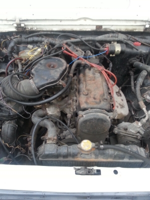 ขาย คาริบเบี้ยน เกียร์ออโต้แท้หายาก ตามสภาพ