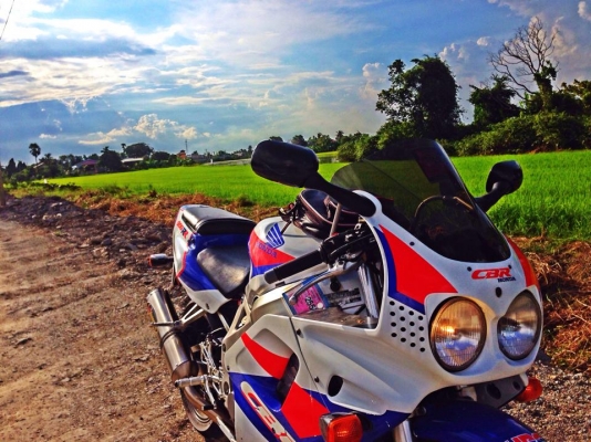 CBR900 ทะเบียนแท้ สเปคยุโรป CBR900 ทะเบียนแท้ สเปคยุโรป