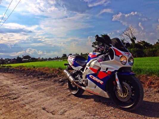 CBR900 ทะเบียนแท้ สเปคยุโรป CBR900 ทะเบียนแท้ สเปคยุโรป
