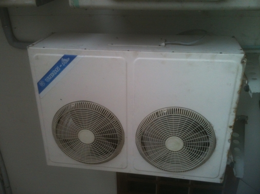 เหลือตัวสุดท้ายแล้วครับ เหลือตัวสุดท้ายแล้วครับ