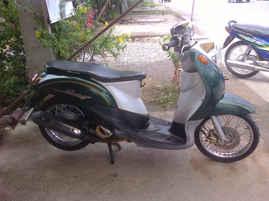 ขาย ฟีโน่ มีทะเบียนพร้อมโอน ราคา 11500 ขาย ฟีโน่ มีทะเบียนพร้อมโอน ราคา 11500