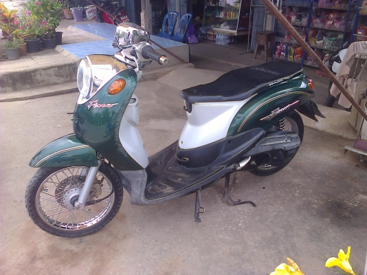 ขาย  ฟีโน่  มีทะเบียนพร้อมโอน  ราคา 11500