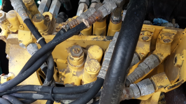 ขาย  บุ่งกี๋