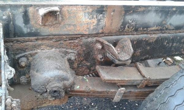 รถบรรทุกน้ำ ISUZU