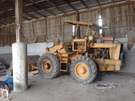 ขายรถตักล้อยาง ขายรถตักล้อยาง