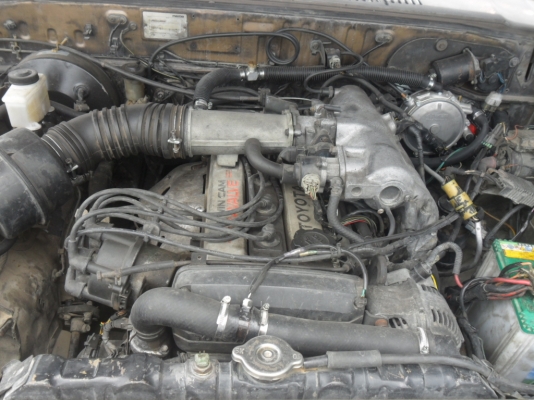 ,มาสด้าแม็กนั้ม