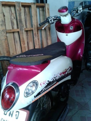 ขายฟีโน่ เครื่องเดิม