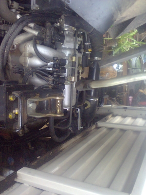 ฟรีดาวน์