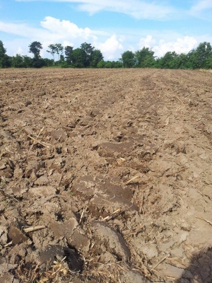 ขายรถไถ kubota l1 22 พร้อมผาน  กับโรตาลี่ *ส่งฟรีทั่วไทย !!!