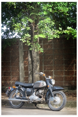 Honda C95 หมู  (ทะเบียนโอน)