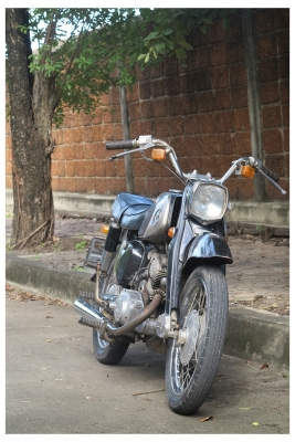 Honda C95 หมู  (ทะเบียนโอน)