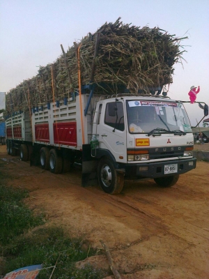 ฝากมาขาย...M627ปี47260แฮง..สภาพงามๆ งามแท้งามว่า ลูกสามคาน7.20ม.