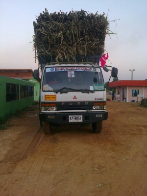 ฝากมาขาย...M627ปี47260แฮง..สภาพงามๆ งามแท้งามว่า ลูกสามคาน7.20ม.