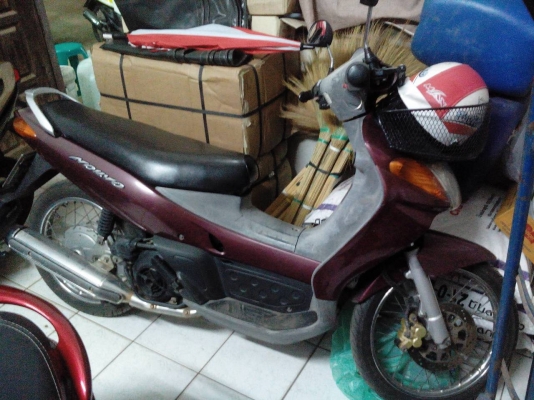 นูโวตัวแรก นูโวตัวแรก