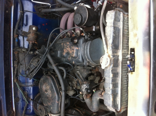 ขายคับ ขายคับ