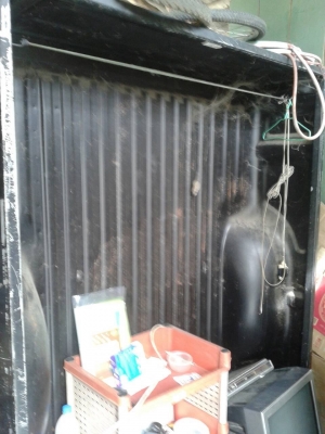 ขายลูกกะบะไมตี้แค็ปโป่งหลังสวยๆ