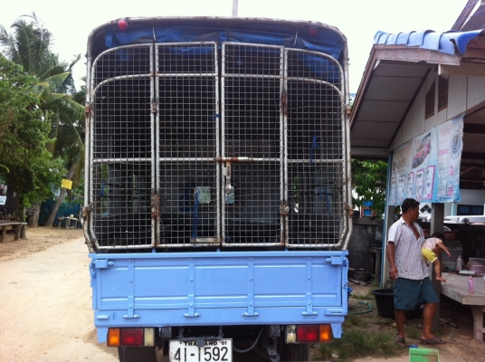 ขายด่วน4ล้อกลาง 88 แรงม้า. ปี36. มีแอร์เดิมบ้างทั้งคัน