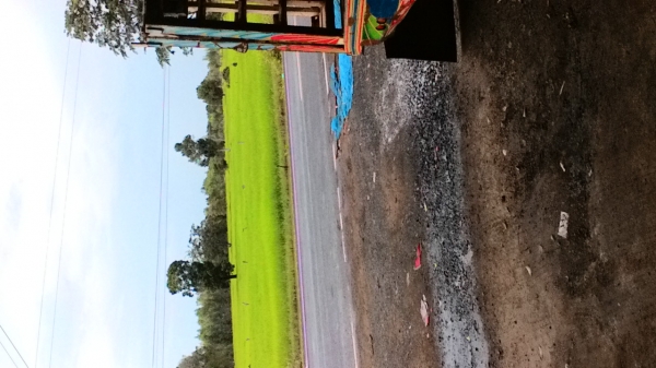 ต้องการรถเกี่ยวสองคันที่สุรินทร์ มีค่าน้ำมันให้ก่อน50，000บาท