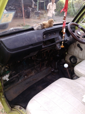 ลดสุดๆไปเลยยอมขาดทุนครับ ทเบียนแท้พร้อมโอน