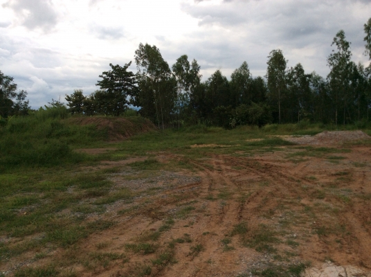 ให้เช่าลานอ้อย