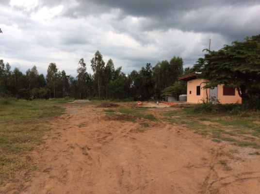 ให้เช่าลานอ้อย