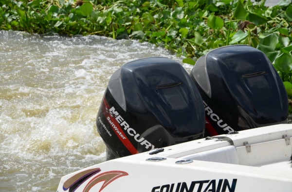 ขายเรือตกปลา FOUNTAIN 31TE