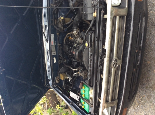 ขายไมตี้สวยๆ