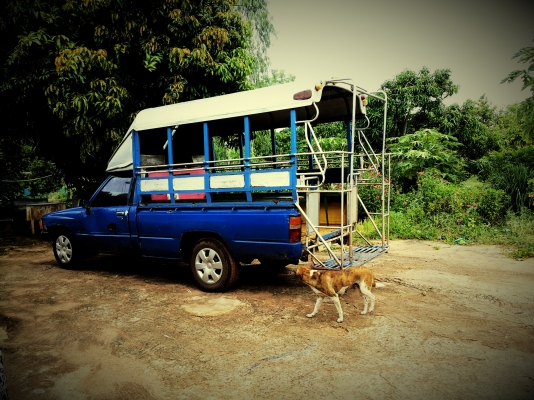 ขายToyota ฮีโล่ ปี2528พร้อมหลังค้า ขายToyota ฮีโล่ ปี2528พร้อมหลังค้า