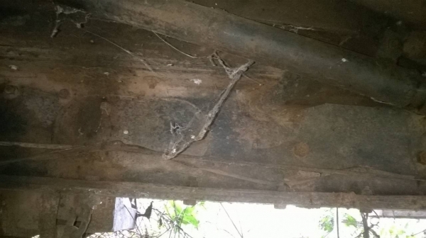 ขายถูก 6 ล้อหัวยาวดั้ม ไม่มีทะเบียน คัสซีสวย เครื่อง ND6 160 แรงม้า เฟืองท้ายจัมโบ้ ดั้มยิงหน้า รถยังใช้งานได้ดีครับ ขายถูก 6 ล้อหัวยาวดั้ม ไม่มีทะเบียน คัสซีสวย เครื่อง ND6 160 แรงม้า เฟืองท้ายจัมโบ้ ดั้มยิงหน้า รถยังใช้งานได้ดีครับ