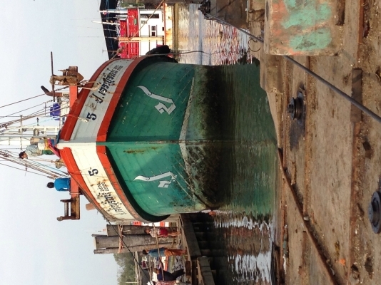 เรือประมง เรือประมง