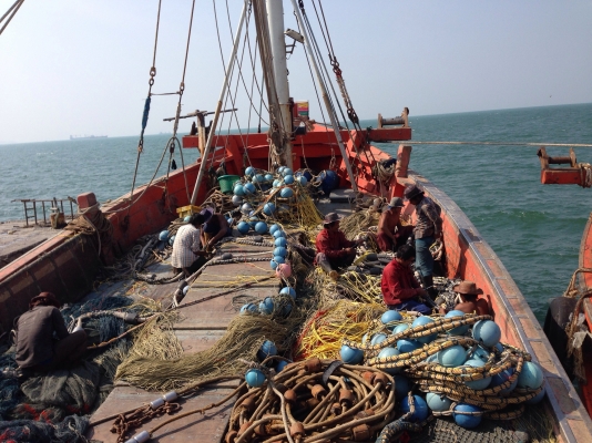 เรือประมง เรือประมง