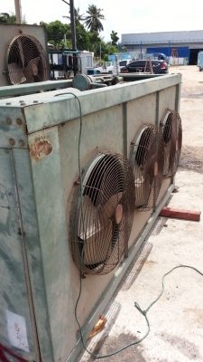 ขายตัวระบายความร้อนน้ำยาห้องเย็น 2 ใบพัดราคาตัวละ 12,000 บาทมี 6 ตัว ขายตัวระบายความร้อนน้ำยาห้องเย็น 2 ใบพัดราคาตัวละ 12,000 บาทมี 6 ตัว