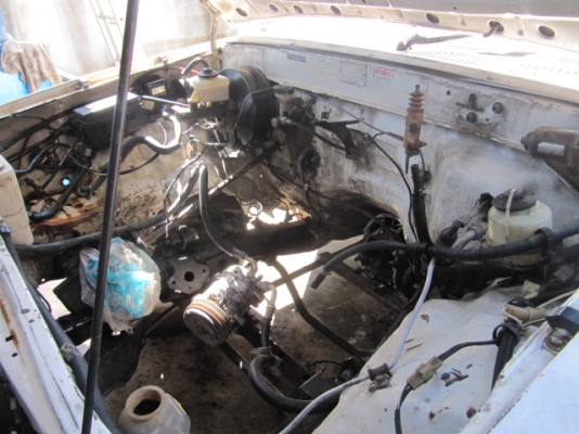 ไมตี้ x ปี 33