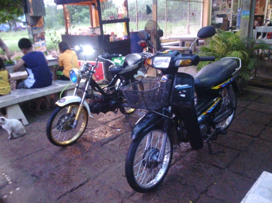 ขาย ดรีม เอ๊กเซลสภาพพร้อมออกทริป ไฟออกทุกดวง ไม่มี ท.บ ค่าตัว 10500 บาท สนใจคันไหนติดต่อสอบถามได้น่ะครับ ต่างจังหวัด จัดส่งให้ได้ ค่าส่งต่างหากครับ 098-8584508 / 089-8054390 โอ๋ ลพบุรี