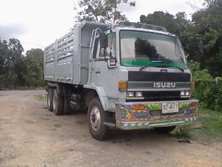 ขายด่วน ISUZU ร้อคกี้ FVZ 32 MZPR  (นางฟ้าแท้)  เครื่อง 6HE 1 (195แรง)เกียร์ ZF เดิมๆ ช่วงล่างเดิมๆ ไม่เคยเปิดซ่อม  แน่นแห่งไม่เยิ้ม สภาพรถห้าง80\%