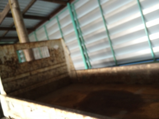 ขายกระบะดั๊มเก่าญี่ปุ่นแท้ ขายกระบะดั๊มเก่าญี่ปุ่นแท้