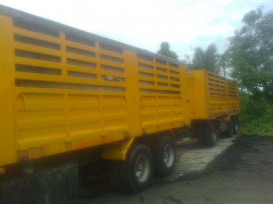 ขาย ฮีโน มิกก้า  320 แรง ตัมแม่ ลูก 3  คาน