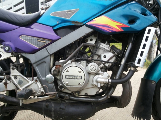 วิตเตอร์M ราคา 10000 บาท สนใจโทร 089-8859869 เดช