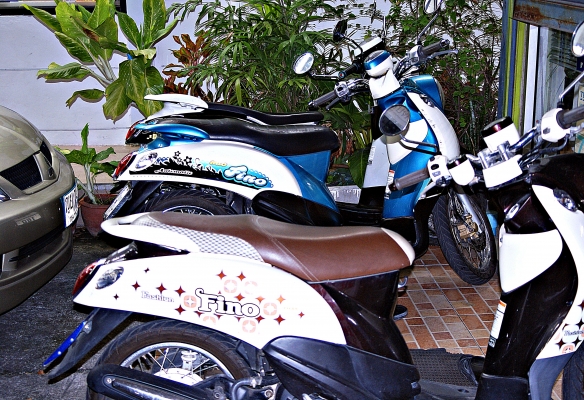 ขาย yamaha ฟีโน ปี55 ราคาถูก ขาย yamaha ฟีโน ปี55 ราคาถูก