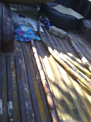 ฝากขายรถกระบะม้ากระโดดพร้อมใช้ราคาถูกสักคัน